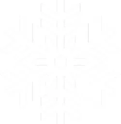 雪花 PNG免抠(250x255)