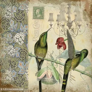 欧式花鸟装饰画