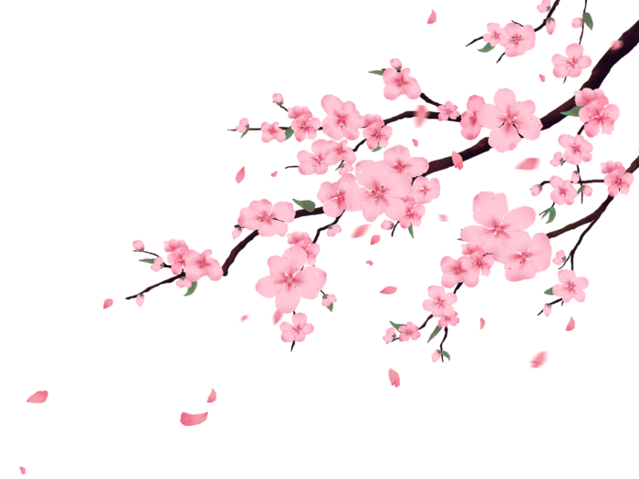 粉色桃花素材免扣装饰