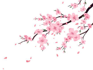 粉色桃花素材免扣装饰