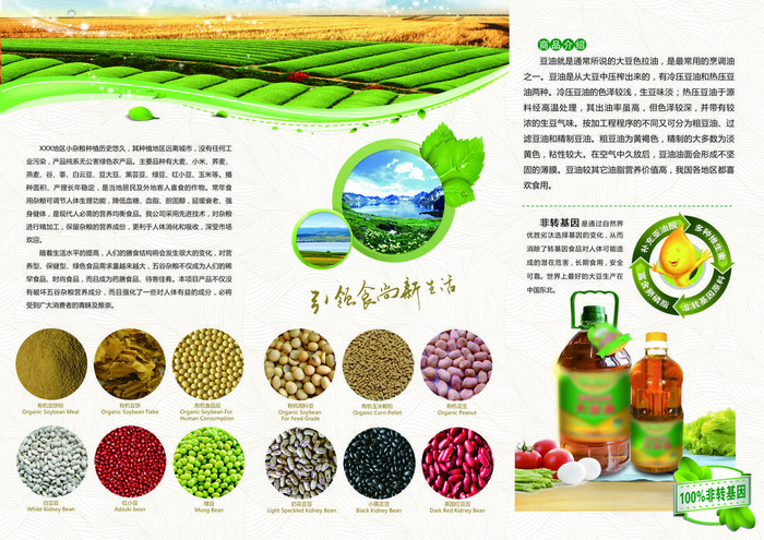 简约风农产品宣传折页正面