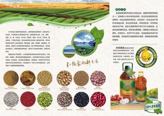 简约风农产品宣传折页正面