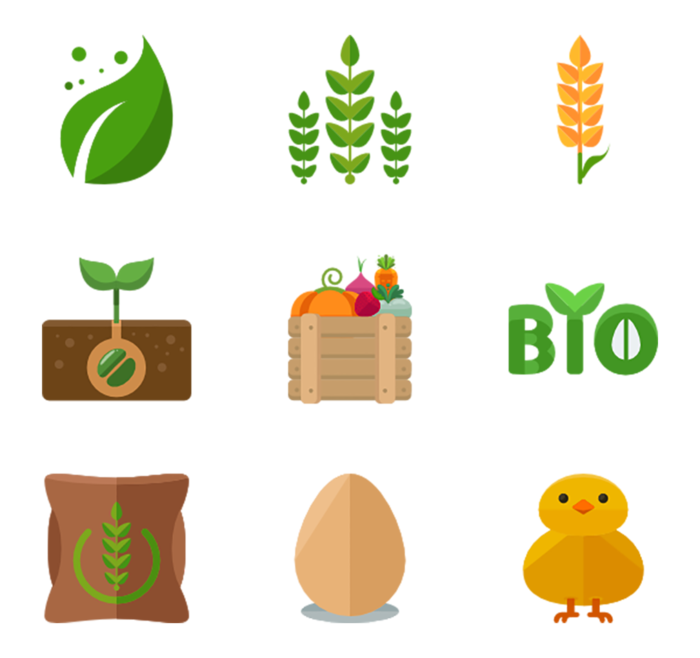 生物种植现代农业