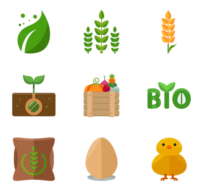 生物种植现代农业