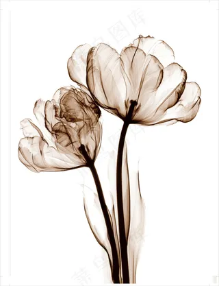 装饰画|客厅|海报画|电表箱装饰画|挂画