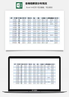 各等级薪资分布情况excel模板