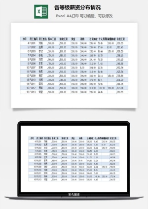 各等级薪资分布情况excel模板