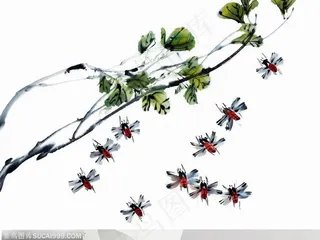 昆虫水墨画-国画飞虫藤蔓