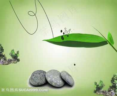 植物 叶子创意设计