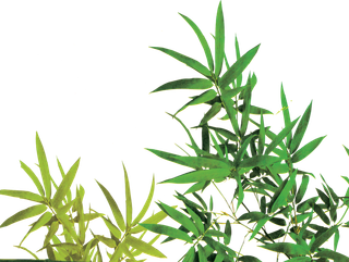 竹子水墨画中国风国画墨水书法竹子画