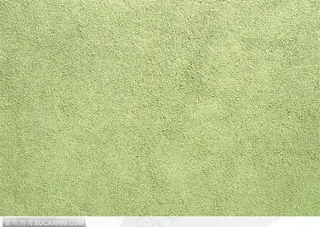 食物背景-浅绿色的粉末