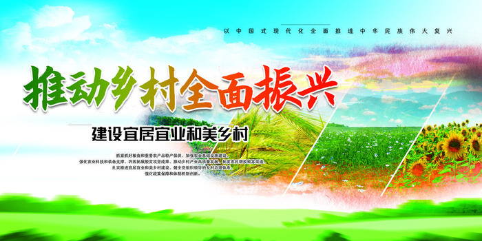 推动乡村全面振兴乡村振举措展板