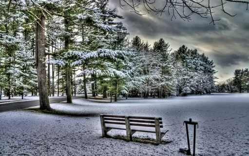 下过大雪的冬天
