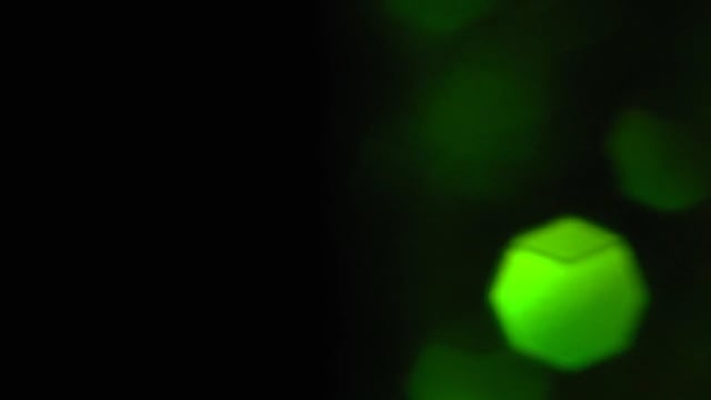 散景, 红色的, 蓝色, 绿色, 明亮, 背景, 闪光