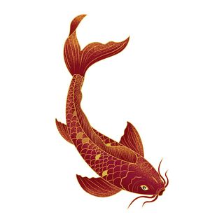 手绘烫金国潮中国风卡通锦鲤鱼金鱼插画装饰元素PSD设计素材