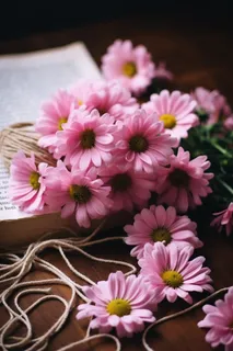 书桌上的粉色雏菊花麻绳摄影图