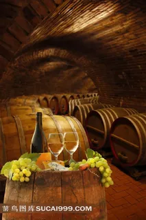 地窑中的橡木桶葡萄酒