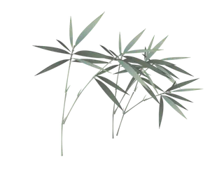 竹子水墨画中国风国画墨水书法竹子画