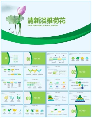 清新淡雅荷花活力绿工作总结报告ppt模板预览图