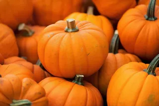 南瓜橘黄色摄影图