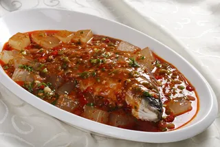 CXC02662凉粉大鲫鱼