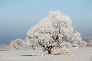 冬天白雪背景风景