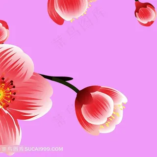 花朵装饰画素材