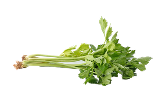 芹菜 (8)超市商品白底图免抠实物摄影png格式图片透明底