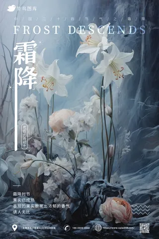 花朵 结霜 意境 霜降海报