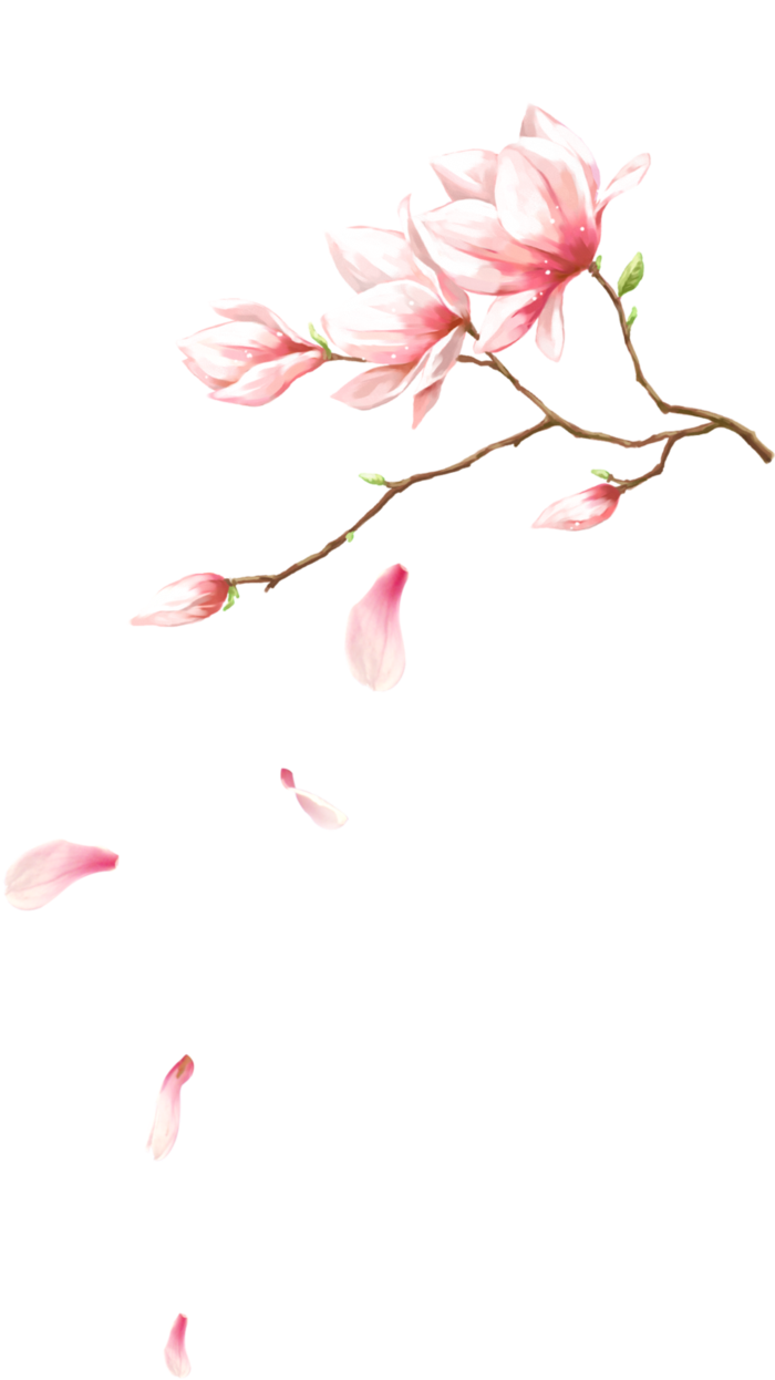 粉色简约风手绘鲜花花朵水墨画PNG素材图片 (24)