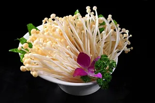 蘑菇香菇金针菇杂菇菌类美食素菜