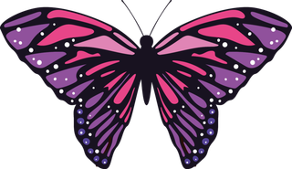 卡通动画动画蝴蝶免扣PNG手绘插画图片素材 (51)