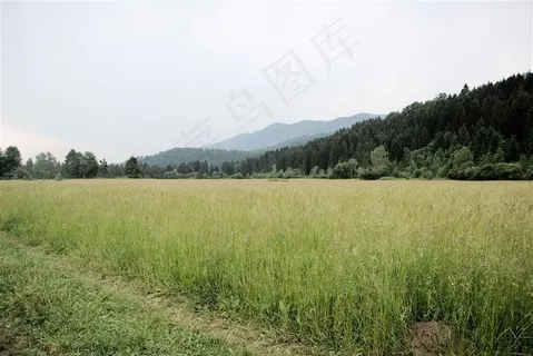 乡村风景，小路，农村