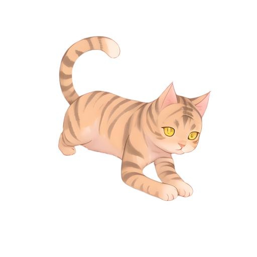 猫动物免抠(2048x2048)