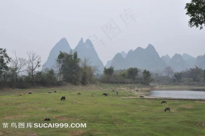 广西桂林阳朔自然美景素材