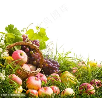 农家蔬菜创意广告高清图片