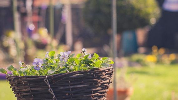 小清新文艺风图片