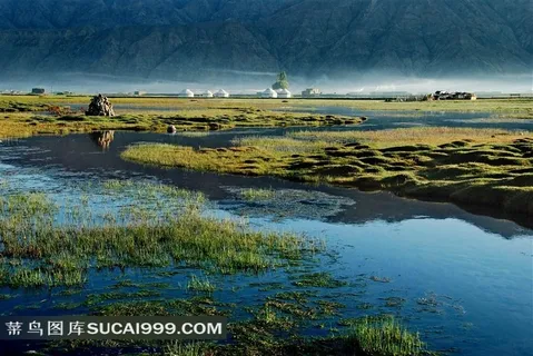 草地湿地草原风景图片下载 草地湿地草原风景图片下载