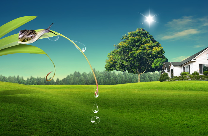 韩式自然背景 (62)