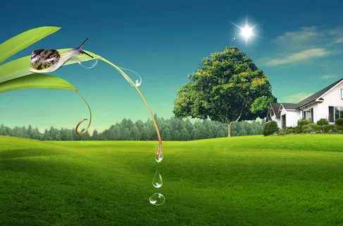 韩式自然背景 (62)