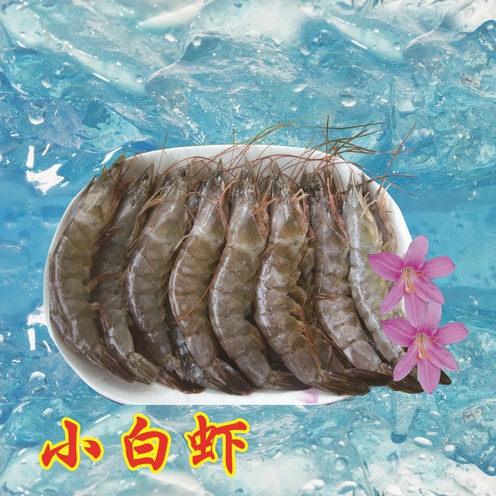 海水背景中的青虾图片