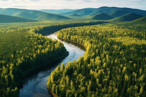 山川森林里蜿蜒的河流摄影图