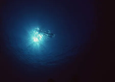 海底世界 16 海底世界 16