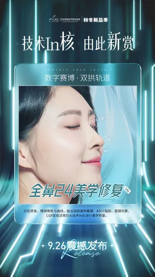 全鼻24美学修复he