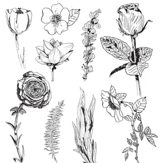 手绘矢量花卉小清新插画素材花艺边框婚礼logo婚礼请柬素材婚礼请柬素材