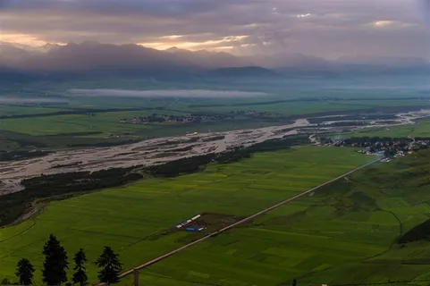 青海门源油菜花风景素材