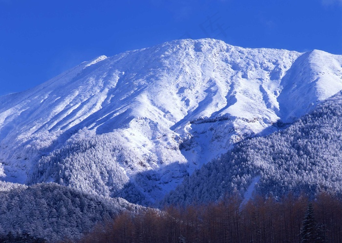 冰天雪地 171