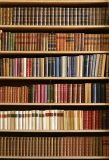 原木色架子书架立体