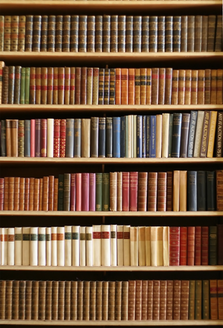 原木色架子书架立体