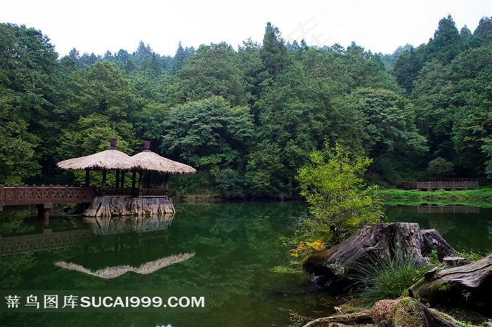 阿里山湖光山色的美景